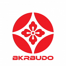 Image result for Bujinkan Lincon Dojo