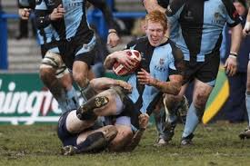 Image result for Cardiff Titans