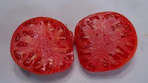 Afbeeldingsresultaat voor brandywine sudduth tomato