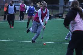 Image result for Phoenix Hockey Club (Essex)