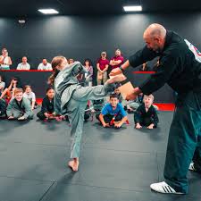 Image result for Absolute tae kwon do association