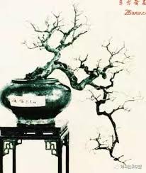 Image result for 艰苦阅历 孔泰初