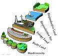 Stepping Forward [ Technical Report - What is an Ecological ...