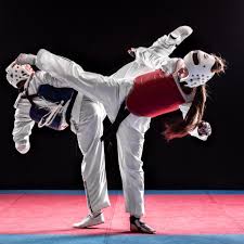 Image result for COMBAT TAEKWONDO