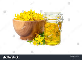 Attēlu rezultāti vaicājumam “Hypericum perforatum fruit”