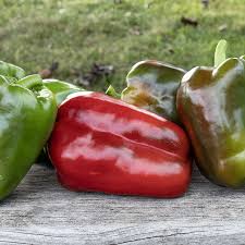 Afbeeldingsresultaat voor giant 3 sweet pepper