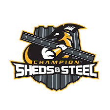 Image result for Swan`s Hockey Club