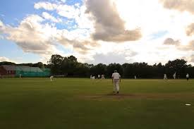 Image result for Hollingworth Cricket Club