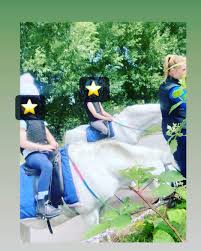 Image result for Weybridge Equestrian Centre