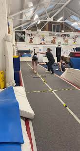 Image result for Brumby Gymnastics Club