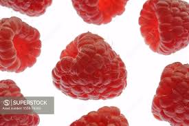 Attēlu rezultāti vaicājumam “Rubus idaeus fruit”