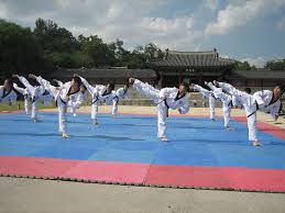 Image result for ENGLISH INTERNATIONAL ALLSTYLES TAEKWONDO