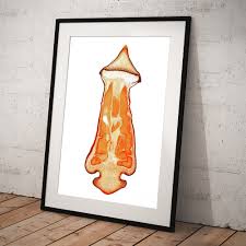 Attēlu rezultāti vaicājumam “Polytrichum commune sporophyte”