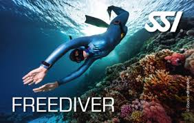 Image result for Crystal Freedivers (London)