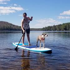 Image result for Tamworth Canoe Club