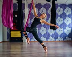 Image result for Aero Gymnastics Club