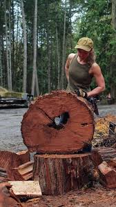 Attēlu rezultāti vaicājumam “Postia sericeomollis”