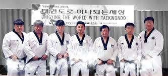 Image result for COMBAT TAEKWONDO
