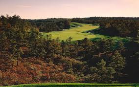 Image result for Plymouth Swallows Gc