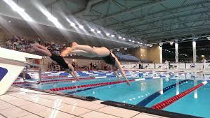 Image result for Buntingford Swimming Club