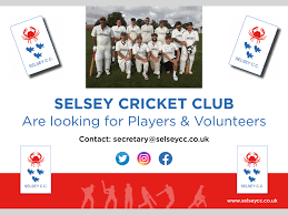 Image result for Lynchmere Cricket Club