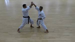 Image result for Jodan Karate