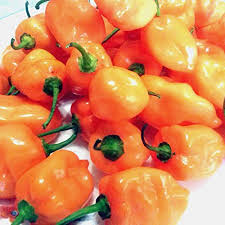 Afbeeldingsresultaat voor peach habanero hot pepper