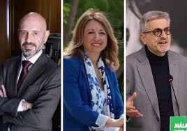 Image result for www.diariosur.es