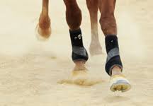 Image result for Civil Service Riding Club (Csrc)