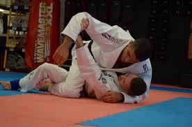 Image result for Marsden martial arts