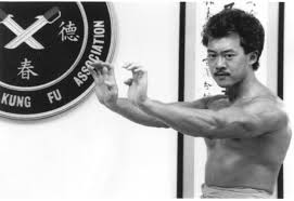 Image result for Midlands Wing Chun