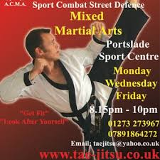 Image result for Tae-jitsu