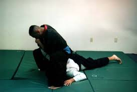 Image result for Goshin Ryu Atemi JuJitsu