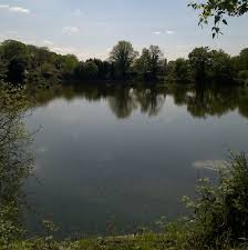 Image result for Woking & District Angling Association