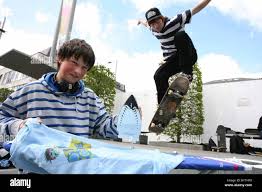 Image result for extreme ironing