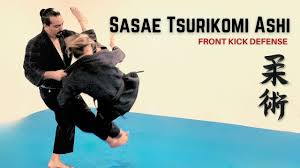 Image result for Hachidori ju-jitsu Martial Arts