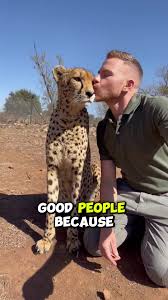 Afbeeldingsresultaat voor cheeta