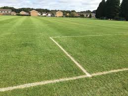 Image result for Crawley Green Sports & Social Club