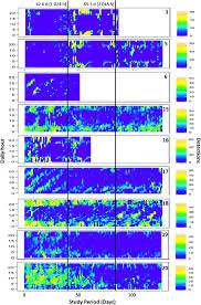 Image result for Rhabdosargus holubi