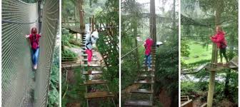 Image result for Go Ape! Dalby