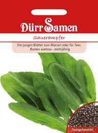 Image result for Sauerampfer