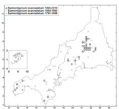 Attēlu rezultāti vaicājumam “Warnstorfia exannulata”