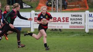 Image result for Wellington Rugby Football Club Limited