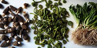 Image result for noma mad