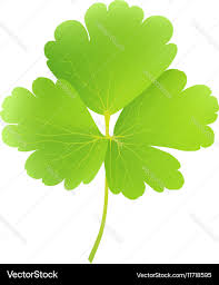 Attēlu rezultāti vaicājumam “Aquilegia vulgaris leaf”