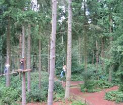 Image result for Go Ape! Thetford