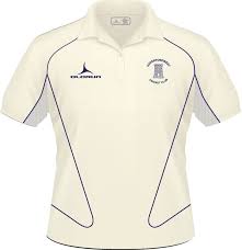 Image result for Haverfordwest Cricket Club