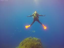 Image result for Belfairs Dolphins Snorkelling Club