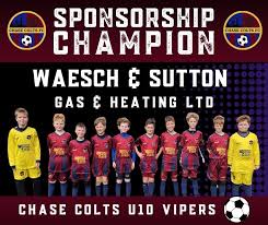 Image result for Sutton Vipers