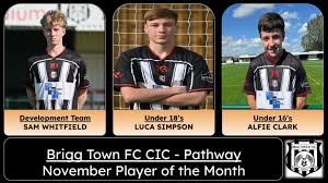 Image result for Brigg Town Cricket Club